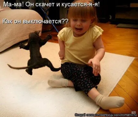 Котоматрицы недели