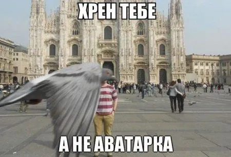 На ночь глядя