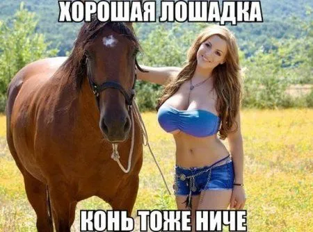 Свежачок и не только