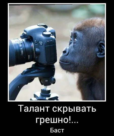 Демотиваторы