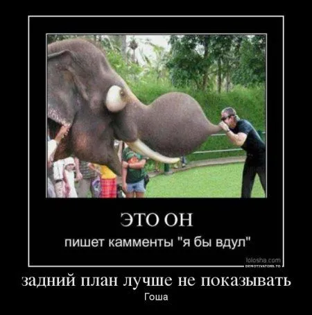 Демотиваторы