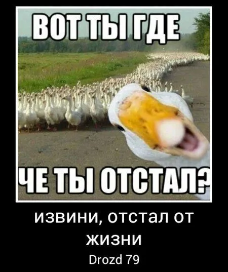 Демотиваторы
