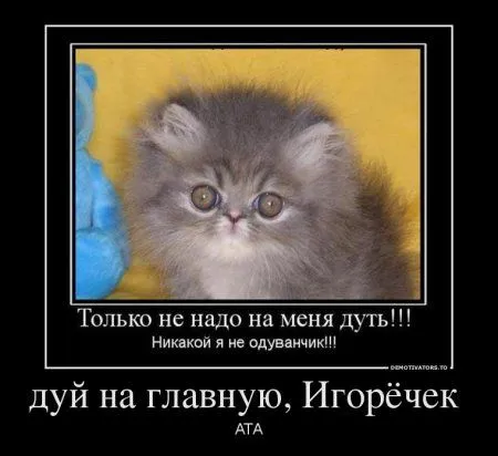 Демотиваторы