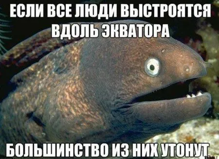 Смотри Приколы без остановки Смотри Приколы без остановки