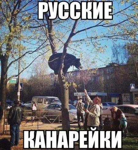 Смотри Приколы без остановки Смотри Приколы без остановки