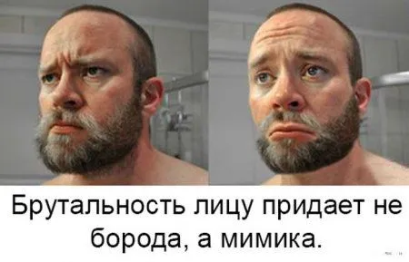 Смотри Приколы без остановки Смотри Приколы без остановки
