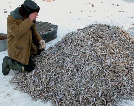 И вновь прикольные картинки