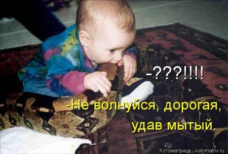 Свежие котомашки