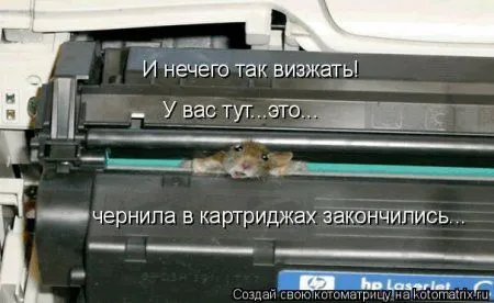 Веселая котоматрица приближает Пятницу