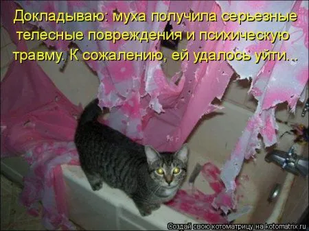Веселая котоматрица приближает Пятницу
