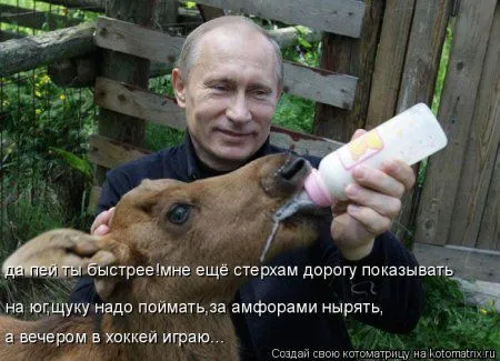 Веселая котоматрица приближает Пятницу