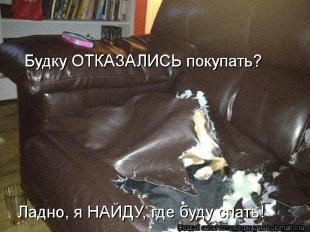 Веселая котоматрица приближает Пятницу