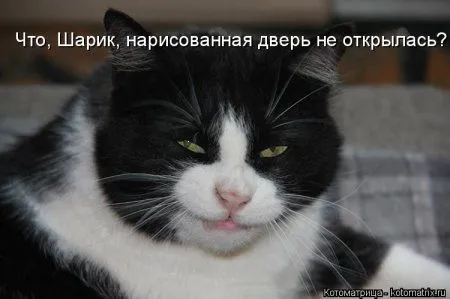 Веселая котоматрица приближает Пятницу