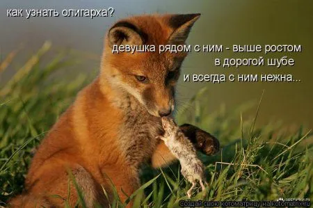 Веселая котоматрица приближает Пятницу