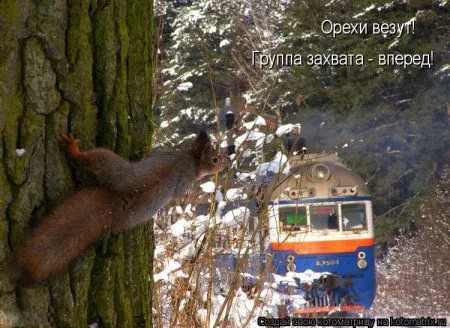 Веселая котоматрица приближает Пятницу