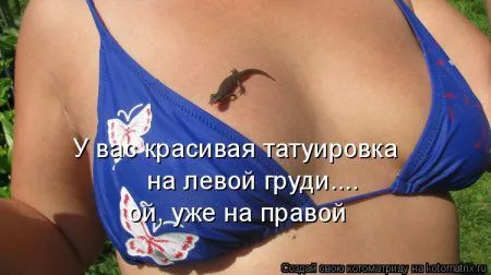 Веселая котоматрица приближает Пятницу