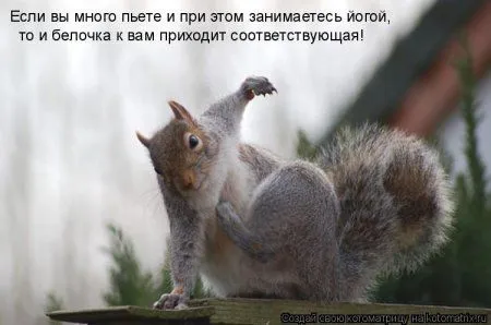 Белкоматрица Белкоматрица