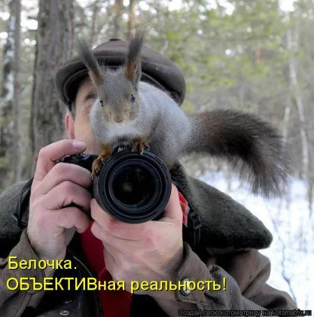 Белкоматрица Белкоматрица