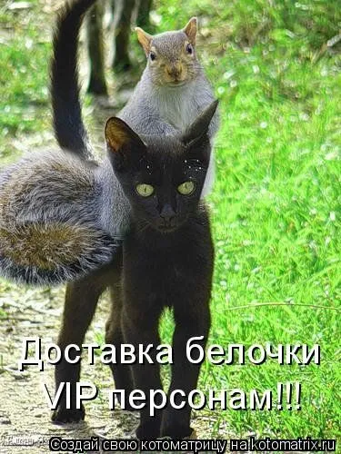 Белкоматрица Белкоматрица