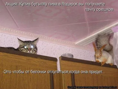 Белкоматрица Белкоматрица
