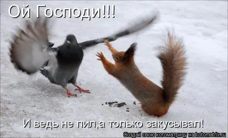 Белкоматрица Белкоматрица