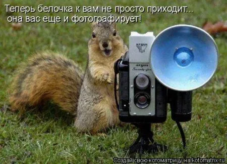 Белкоматрица Белкоматрица