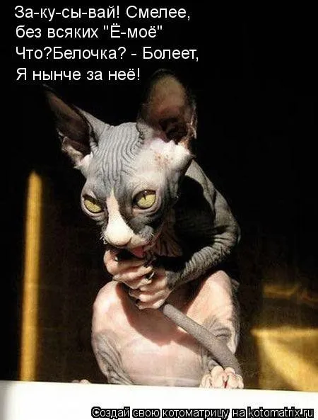 Белкоматрица Белкоматрица