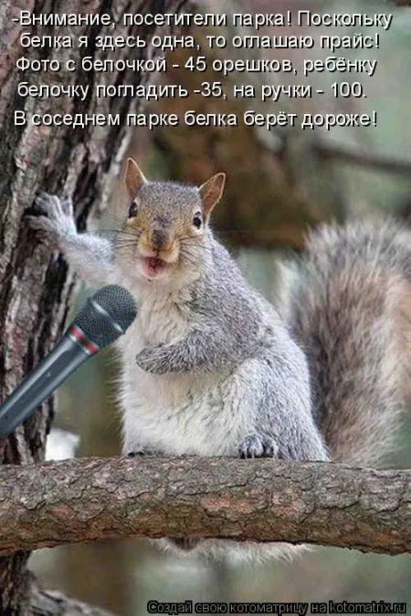 Белкоматрица Белкоматрица