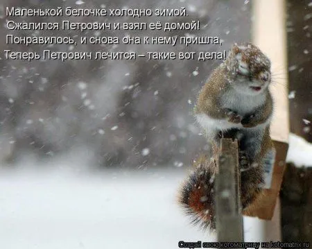 Белкоматрица Белкоматрица