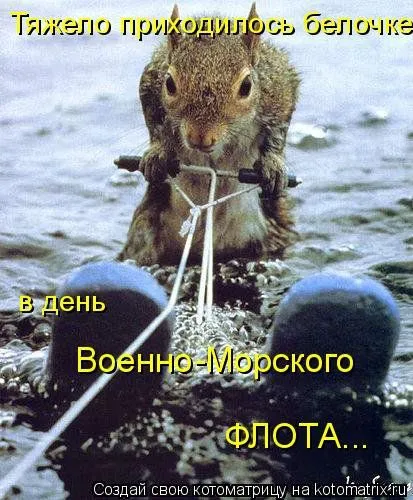 Белкоматрица Белкоматрица