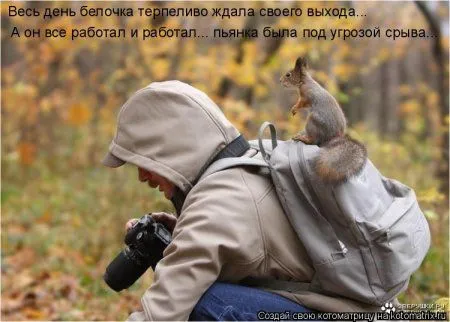 Белкоматрица Белкоматрица
