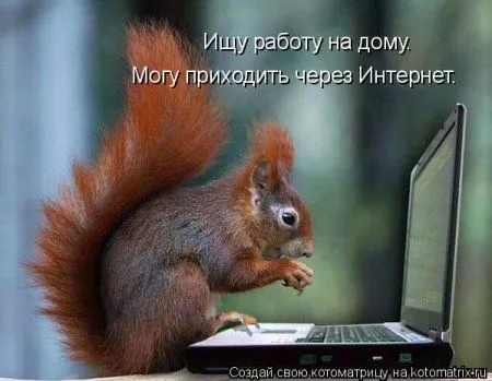 Белкоматрица Белкоматрица