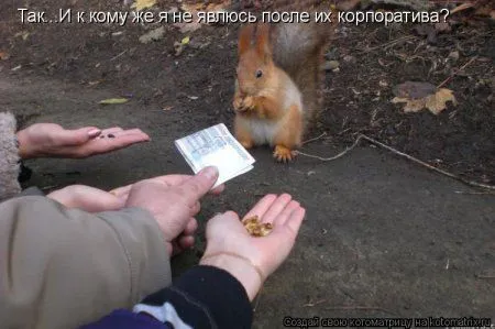 Белкоматрица Белкоматрица
