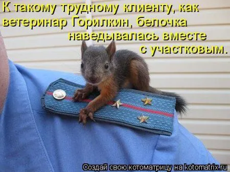 Белкоматрица Белкоматрица