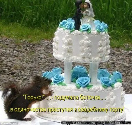 Белкоматрица Белкоматрица