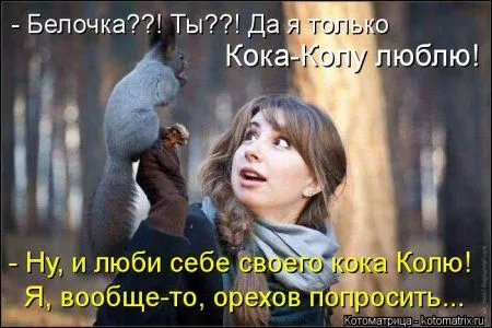 Белкоматрица Белкоматрица