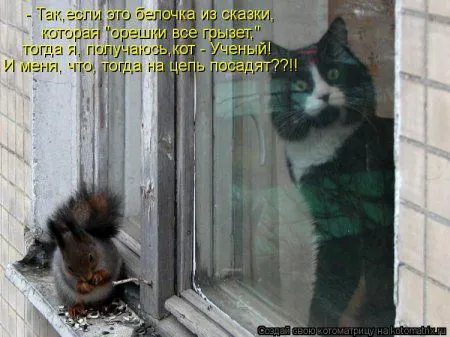 Белкоматрица Белкоматрица