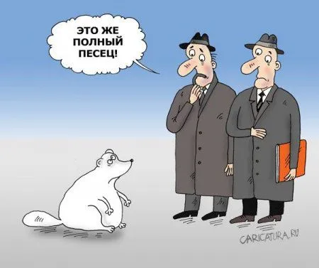 Небольшая подборка карикатур Небольшая подборка карикатур