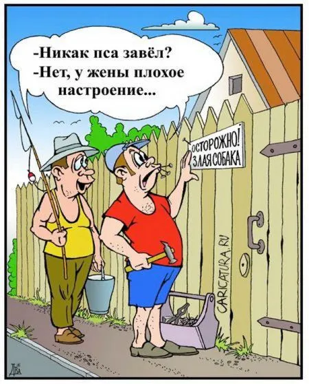 Небольшая подборка карикатур Небольшая подборка карикатур