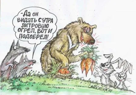 Небольшая подборка карикатур Небольшая подборка карикатур