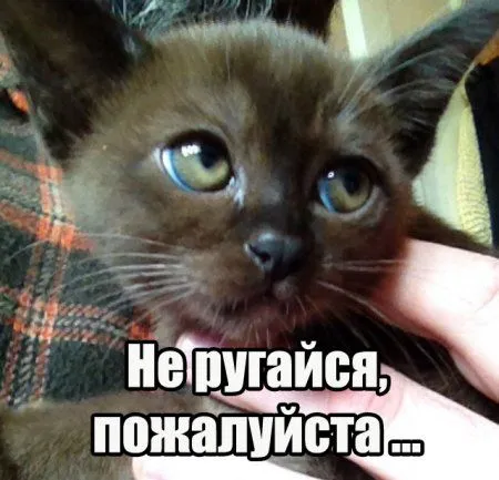 Настроения хорошего пост