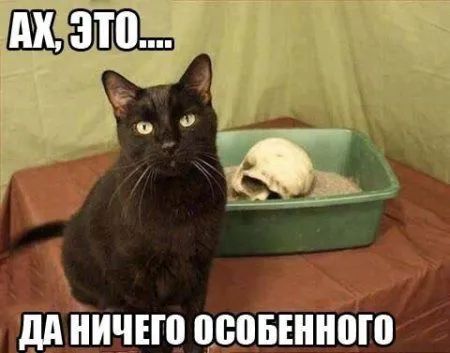 Настроения хорошего пост