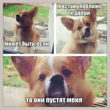 Настроения хорошего пост