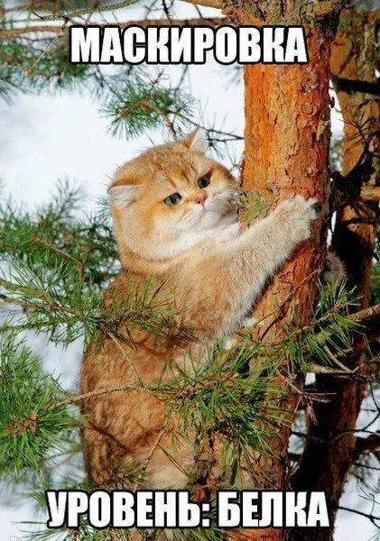 Настроения хорошего пост