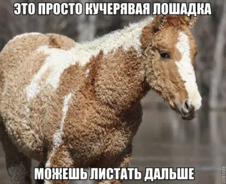 Настроения хорошего пост