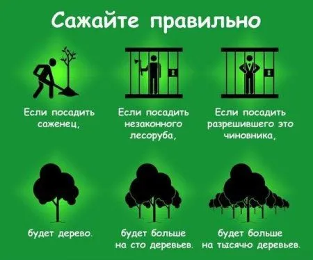 Приколы готовы! Приколы готовы!