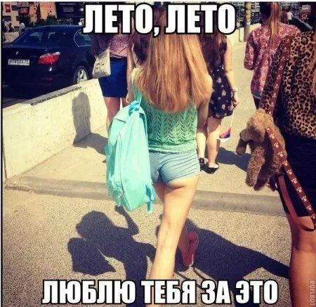 Прикольные картинки про всё