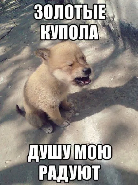 Обойма с фотоприколами перезаряжена