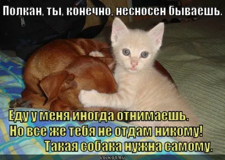 Разные прикольные фото и не только