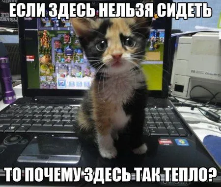 Заполняемся позитивом. Приколы